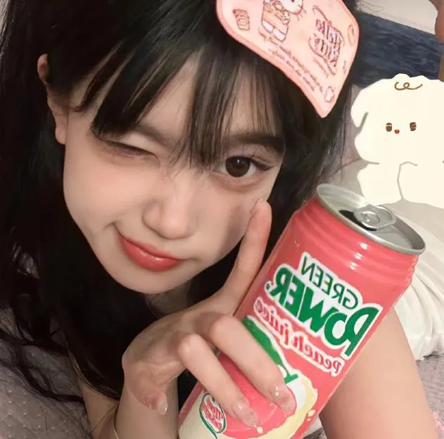凤皇传