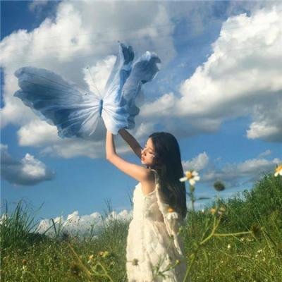 王朝的女人·杨贵妃
